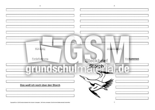 Storch-Faltbuch-vierseitig-3.pdf